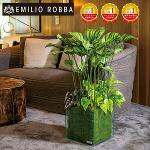 ϗtA MUOJeA  CeA  A[eBtBVO[ AWg A[eBtBVt[ AW Mtg v[g 蕨 a Vzj 