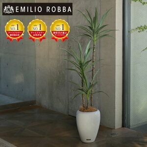 ϗtA bJ  CeA  ^ A[eBtBVO[ CeA   A[eBtBVt[ O[ V Mtg v[g 蕨 Vzj 