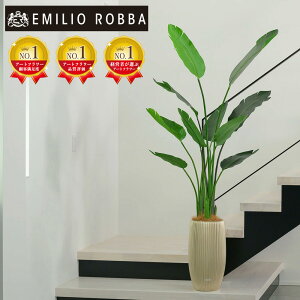 ϗtA I[KX^  CeA  ^ A[eBtBVO[ A[eBtBVt[ V Mtg v[g 蕨 a Vzj zj ړ]j JX