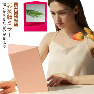 ���C�N�A�b�v�~���[ �{���̎��� ���C�N�p���E�񔽓]�� ���E���]�Ȃ� ���A���~���[ �~���[ ���o�[�T���~���[ ���E�񔽓]�~���[ �X�^���h�~���[ ���~���[ ���~���[ ��␳ �O�p�Œ��