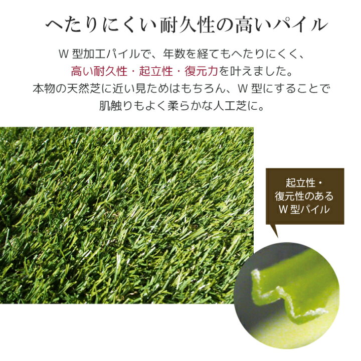 楽天市場】人工芝 クロスターフ W型 ロール 2m×5m 芝長25mm 芝生マット 