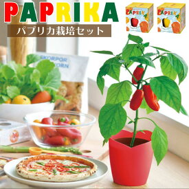 楽天市場 パプリカ 栽培キットの通販