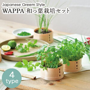 ͔|Zbg ͔|Lbg WAPPA at͔|Zbg V\ h t Ot ~co RlM ˂ K ~Yi    ͔| | ؍͔| Lb`؉ 킢  Mtg v