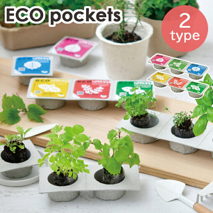 楽天市場 栽培セット 栽培キット エコポケット Eco Pockets ハーブコレクション ジャパニーズコレクション ミント タイム バジル しそ 三つ葉 わさび菜 シソ 紫蘇 ミツバ 野菜 ハーブ 室内栽培 室内園芸 野菜栽培 キッチン菜園 かわいい おしゃれ ギフト プレゼント Gd