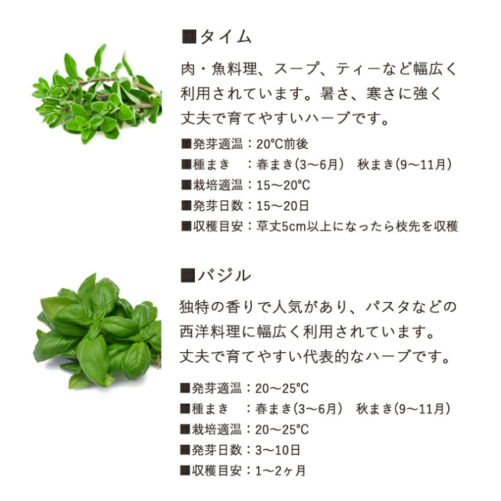市場 12時迄で即日発送 食べる花 食用花 エディブルフラワー 種 ボリジ 有機種子