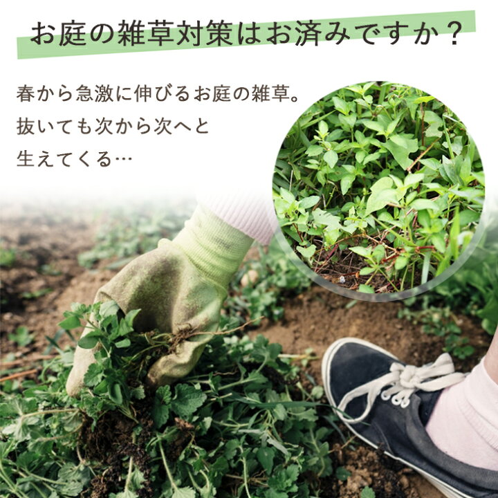 楽天市場 防草シート 10年耐用 植樹防草シート 1m m巻き 下敷き用 平米分 送料無料 グレー 人工芝 雑草 対策 ガーデニング Tg防草シート 砂利 プロ仕様 庭師推奨 園芸 造園 雑草防止シート 庭 不織布 布 Diy 谷口産業 お庭の宅配便