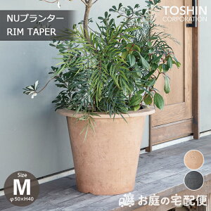 NUv^[  e[p[ MTCY GRC v^[ a50cm ^ [^ Ԓd ϗtA GNXeA K[fjO K[f   Op p Aؔ A  O[ x[W TOSHIN 