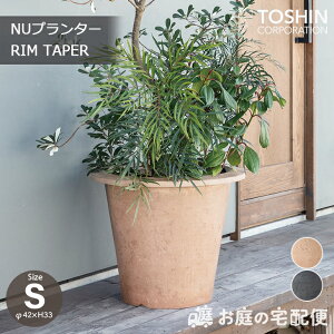 NUv^[  e[p[ STCY GRC v^[ a42cm ^ Ԓd ϗtA GNXeA K[fjO K[f   Op p Aؔ A  O[ x[W TOSHIN g[