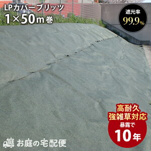 hV[g 10Nϗp LPJo[ubc 1m×50m 50ĕ hV[g eiXt[ Gh~  @ _ G ΍ vdl |  Gh~V[g z  