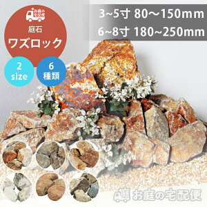 y10%OFF 12/4 20:00?12/11 1:59z K ~ K[fjO  I YbN 20kg 80-150mm 180-250mm JT} rU Xn LU  }Z  VR ϊ  N[ _ 