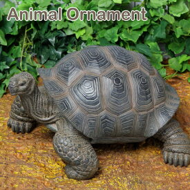 楽天市場 ガーデニング オブジェ 大きい 種類 動物 カメ の通販