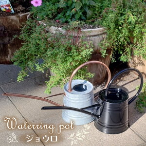観葉植物 ジョウロの人気商品 通販 価格比較 価格 Com 観葉植物 ジョウロの人気商品 通販 価格比較 価格 Com