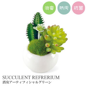 ysZ[JÒztFCNO[ CTG} TLgtE LA[eBtBVO[  fBXvC CeA 蕨 A u  Mtg v[