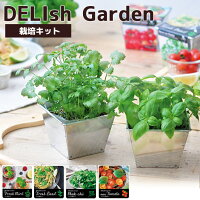 女性のおすすめ 野菜栽培キット 子供と一緒に 室内で育てやすい野菜キットのおすすめランキング 1ページ ｇランキング
