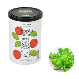͔|Zbg ͔|Lbg Grow Flavor Ăt[o[ Abv~g o[ ChXgx[ J~[ ˂ lR L Mtg v[g n[u ͔| | 킢 