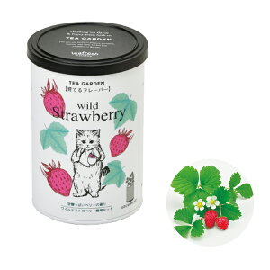 ͔|Zbg ͔|Lbg Grow Flavor Ăt[o[ Abv~g o[ ChXgx[ J~[ ˂ lR L Mtg v[g n[u ͔| | 킢 