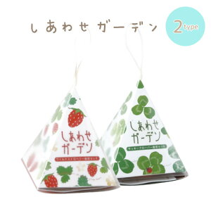 種 イチゴ 栽培キットの人気商品 通販 価格比較 価格 Com