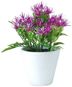 y82146ztFCNvg ϗtA _~[vg