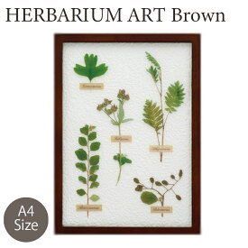 楽天市場 額縁 可愛いの通販