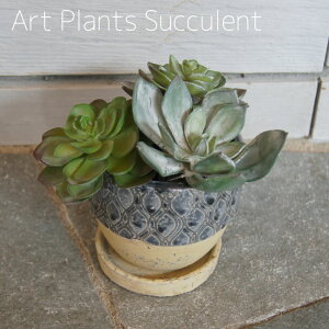 ysZ[JÒzA[gvc TLg B CARNAC JibN K[fjO CeA tFCNO[ GAvc A  킢