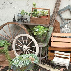 IDYLLICGARDENガーデンウィールホワイトSサイズブラウンMサイズセット【POSHLIVINGポッシュリビングガーデニングインテリアオブジェおしゃれかわいいナチュラル木製杉ホイール車輪トレリスWheel】