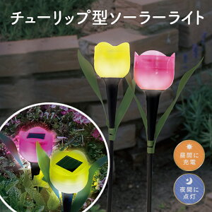 y10OFF 11/20 20`z`[bv ^ \[[ Cg 2FZbg sN CG[ XeBbN K[f Cg O  킢  K[f  \[[ LED Cg Ɩ dsv 