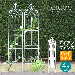 [8/1~ vCX_E]ACAtFX200 nC^Cv "drape"ih[vj4g[tFX ACA K[ftFX g  d؂ ډB  NVJ AeB[N  x_  K