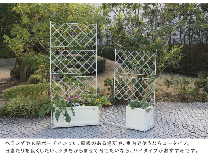 楽天市場】プランター台付フェンス ハイタイプ アーガイル[送料無料 