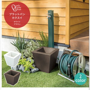  K[fp vbgp JNXC zCg uE     Vv X^CbV 􂢏 ybg I[Nu GM3-PTK