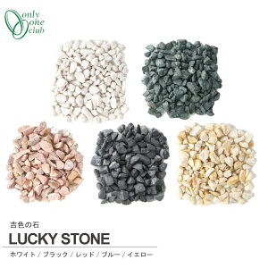    gF̐ 2kg  K[f K[fjO bNK[f hCK[f 􂢏  ύ Ӑ VR bL[Xg[  zCg ubN bh u[ CG