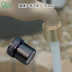 AA_v^[ N Vv  K[f 􂢏 ֌ GM3-F-509 I[Nu