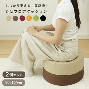 NbV 2Zbg  zc 􂦂 { 12cm a40cm  ֎q tANbV  Xc[ Ɍ  Vv n  k 킢  Rbg