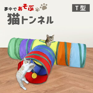 L gl Lbggl Lgl vCgl  ybg T^ lR ˂  1  ^s XgXU  U RpNg ܂肽 [ a25cm WPT-85