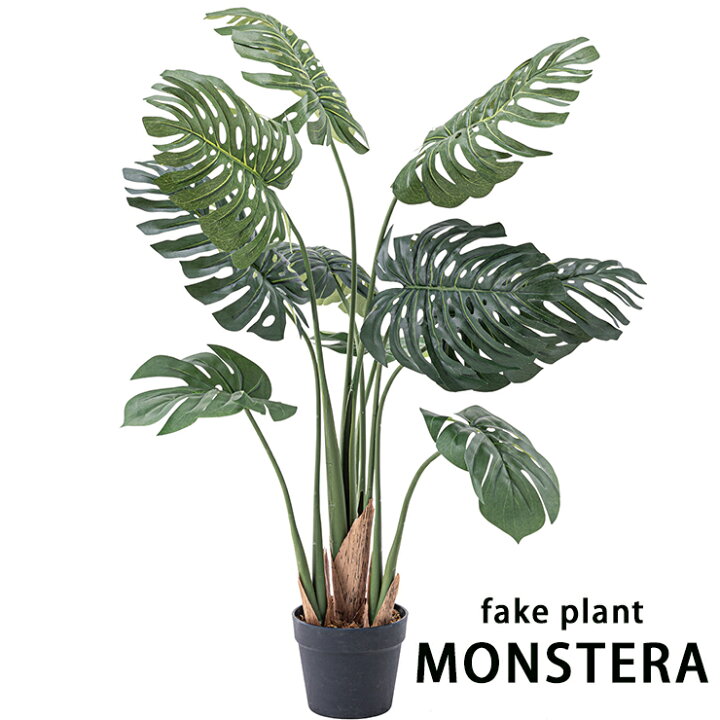 楽天市場 フェイクグリーン モンステラ 観葉植物 造花 大型 人工観葉植物 リアル 100cm インテリア 癒し 緑視率 安らぎ おしゃれ 新築祝い ギフト Grn 11 ｅｍｉネットショップ