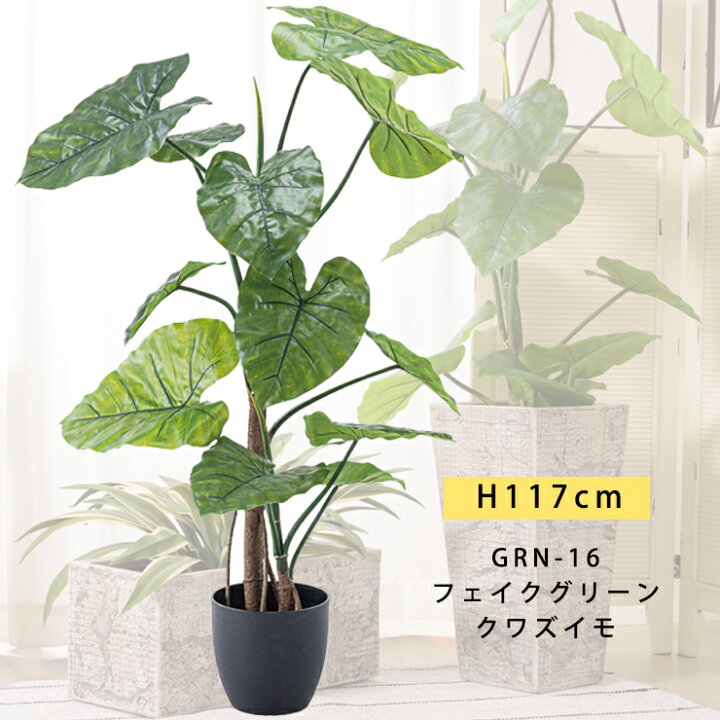 楽天市場】観葉植物 クワズイモ フェイクグリーン 造花 大型 人工観葉 