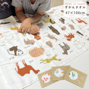 ^I ^I oX^I 47×100cm Rbg  { K[[ K[[^I Rbg ΂Ȃ 킢 ~joX^I m^I } z [  calmland J[