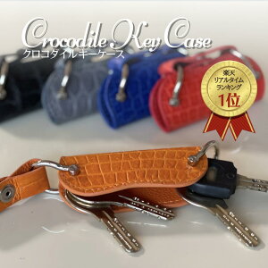 NR_C v {v NR_C NR_C fB[XL[P[X YL[P[X Xgbv p L[O Mtg v[g yA U[ 蕨 j L[`F[