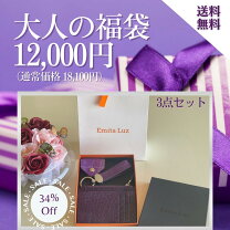 楽天市場】クロコダイル 福袋 レディースの通販