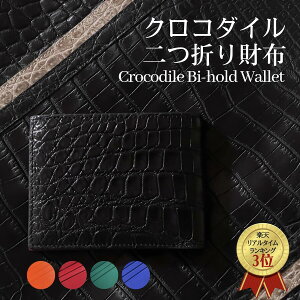 ܂z {v Y z NR_C NR_Cz  Y܂z ܂z ܂ z ܍z jv D z KȂ  v[g 