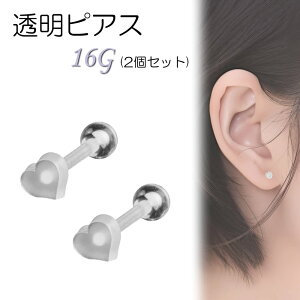 sAX 16g lW sAX NA n[g sAX  ˂ V[NbgsAX NAsAX ubgsAX o[xsAX 16G lW ˂ V[Nbg AN  킢