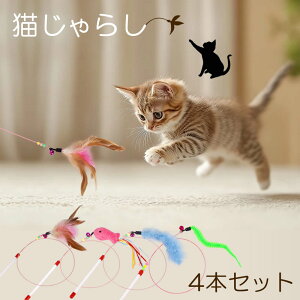 L炵 ˂炵 C[^Cv ފƌ^ L  lR炵 Lp LObY 炵 XgXU XgX ^s H    t [4{Zbg] [N