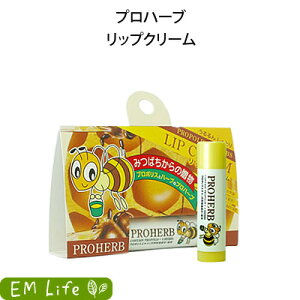 y vn[u z bvN[ em vn[uem bv v|X XLPA ~cE Z zzoIC  ێ ێ΍  ΍ Or  c vn[uϕi 