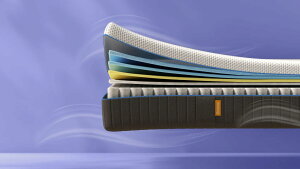 �G�}�E�v���~�A�� V2 �v���X �n�C�u���b�h�}�b�g���X �̈����U �Q�� ����27cm 10�N�ۏ� �t�H�[���E�R�C���Z�� �炭�炭�ݒu �􂦂�J�o�[ �Q�Ԃ� �T�|�[�g �ʋC�� �U���z��