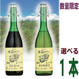 【2026.11月上旬~中旬出荷予約商品】井筒無添加生ワイン 2026 720ml 1本 イヅツ 生ぶどう酒限定醸造 クール便にて発送井筒ワイン【旧商品名 生にごりワイン】