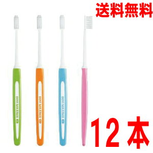 【メール便送料無料】DENT.MAXIMA  デントマキシマ 12本 ライオン