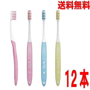 yIׂ邩zy[ 12{ zCheck-Up uV@`FbNAbv uV@3FA\[g12{@CI@MӂS炩߁@