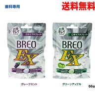 【期間限定お試し1袋】【メール便 1袋 送料無料】選べるフレーバー歯科専用　ブレオEX　1袋　口中ケアタ…