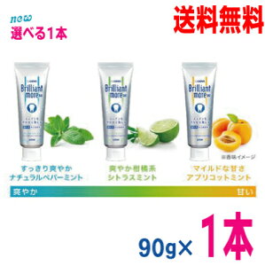 【選べる1本 メール便送料無料】ブリリアントモアダブル90g ライオンブリリアントモアWDENT. Brilliant more Wナチュラルペパーミント、アプリコットミント、シトラスミント、3つの香味puf