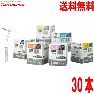 y30{[֑zf^v ԃuV L^ 30{@@L^KP