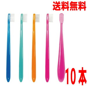 y[֑z~fB~L[@Mӂ@10{@F͂܂CifBJ ~juV